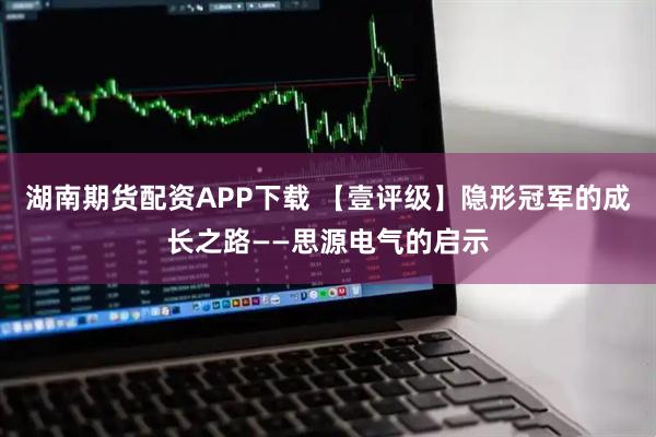 湖南期货配资APP下载 【壹评级】隐形冠军的成长之路——思源电气的启示